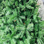 Árvore Natal Aveiro 2107 Galhos Com Base Metal -  2,7m